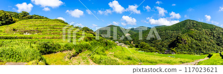 Fresh green O-Nakao terraced panorama [Nagasaki City] 117023621