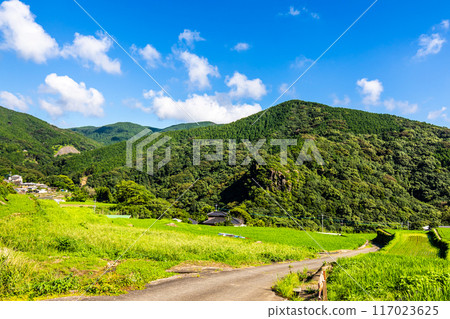 Fresh green onaka rice terraces [Nagasaki City] 117023625