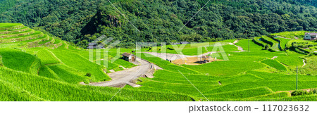 Fresh green O-Nakao terraced panorama [Nagasaki City] 117023632