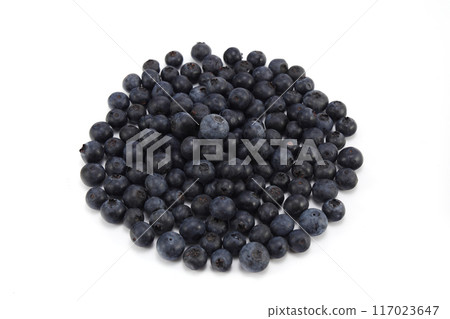 新鮮的藍莓 117023647