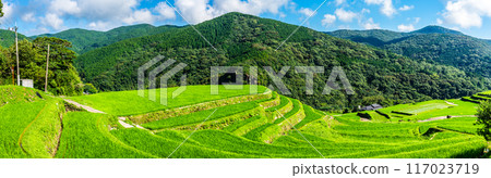 新鮮的綠色O-Nakao露台全景[長崎市] 117023719