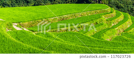 新鮮的綠色O-Nakao露台全景[長崎市] 117023726