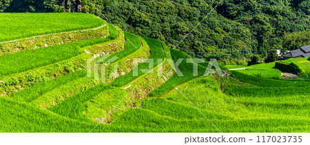 新鮮的綠色O-Nakao露台全景[長崎市] 117023735