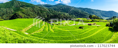 Fresh green O-Nakao terraced panorama [Nagasaki City] 117023744
