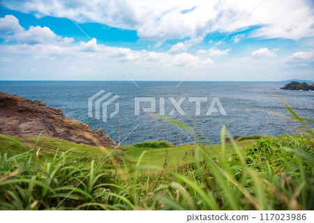 Views of the sea 117023986