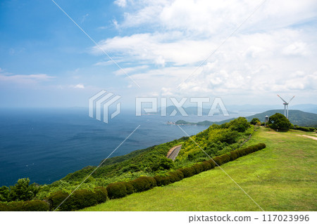 Sea seen from the hill 117023996