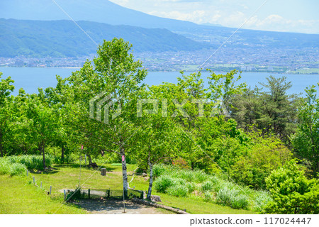 [View of Toriihira Yamabiko Park] Fresh greenery and Lake Suwa [Okaya City] 117024447