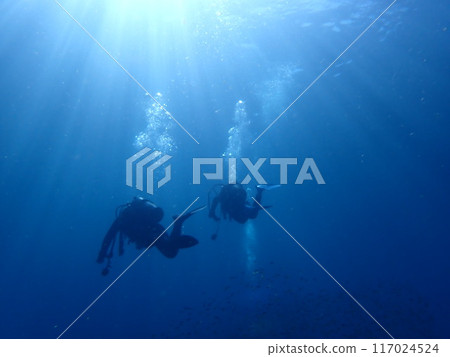 Underwater Space Underwater Space 117024524