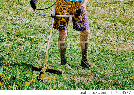 Shorts-clad landscaper kills weeds with string weed wacker, his legs covered in shredded grass. 117024577