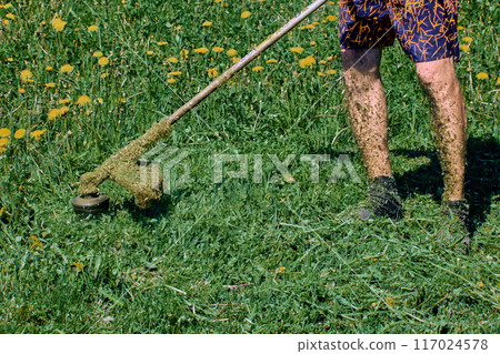 Shredded grass covers skin of feet of gardener who uses weed wacker without wearing protective clothing. 117024578