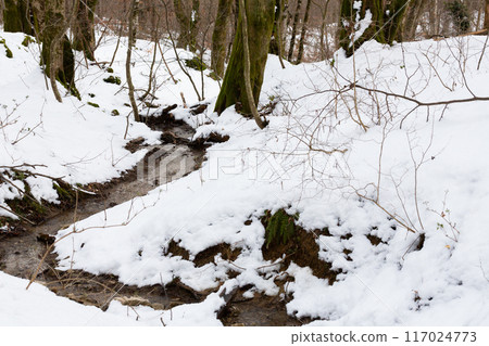 A snow-covered forest with a flowing stream at the end of winter. Thaw, early spring in the forest. A mountain stream in the snow. A snow-covered forest with a flowing stream at the end of winter. Thaw, early spring in the forest. A mountain stream in the snow. 117024773