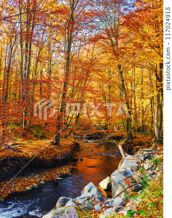 trees on the shore of a mountain river. autumn scenery on a sunny day 117024918