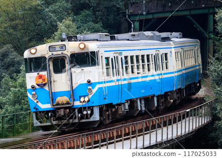 穿越白河大橋的四國色木葉47(JR四國) 穿越白河大橋的四國色木葉47(JR四國) 117025033