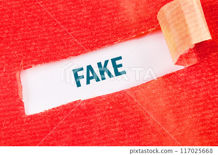 Business concept Copy space. FAKE on a white background under torn paper 117025668
