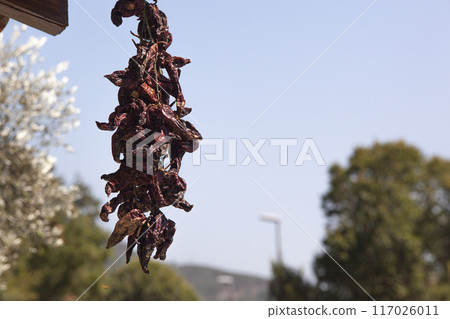 Dried chilli peppers hang in a bunch against a mountain and blue sky. The dried spicy ingredients dry in the sun. Horizontal. High quality photo Dried chilli peppers hang in a bunch against a mountain and blue sky. The dried spicy ingredients dry in the sun. Horizontal. High quality photo 117026011
