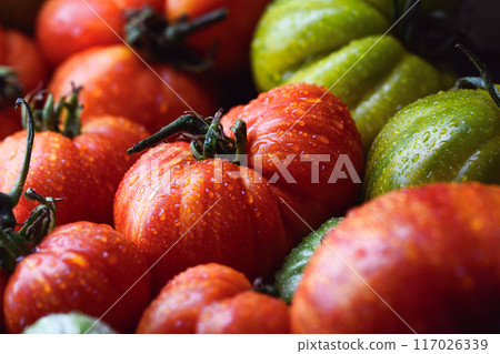 Close up of ripe organic tomatoes with water drops 117026339
