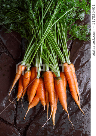 Fresh carrots with greens washing on the vegetable garden Fresh carrots with greens washing on the vegetable garden 117026401