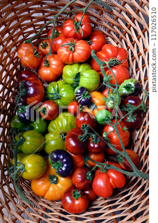Wicker basket with fresh different sizes and varieties ripe tomatoes 117026510