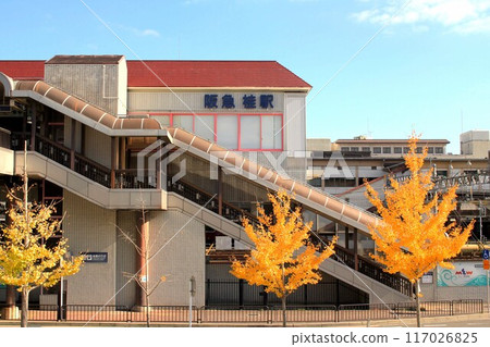 Hankyu Katsura Station and the yellow ginkgo tree 117026825