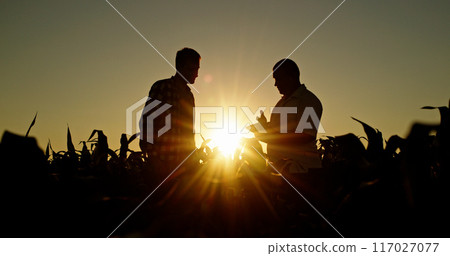 Silhouettes of two farmers talking in a field against a picturesque sunset, uses a tablet. 117027077