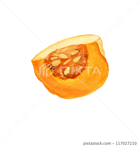 watercolor half of ripe orange pumpkin for cooking, piece of fruit with flesh and seeds, autumn harvest illustration, hand drawn sketch, white background watercolor half of ripe orange pumpkin for cooking, piece of fruit with flesh and seeds, autumn harvest illustration, hand drawn sketch, white background 117027210