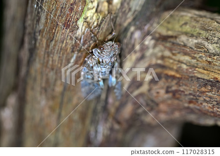 好玩具 好玩具 117028315