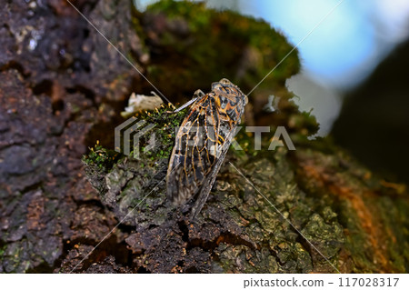 好玩具 好玩具 117028317