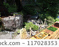 用天然水冷卻的新鮮夏季蔬菜 117028353