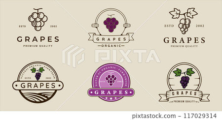 set of grape logo line and vintage vector illustration template icon graphic design. bundle collection of various organic fruit sign or symbol for farm product and food or drink business set of grape logo line and vintage vector illustration template icon graphic design. bundle collection of various organic fruit sign or symbol for farm product and food or drink business 117029314