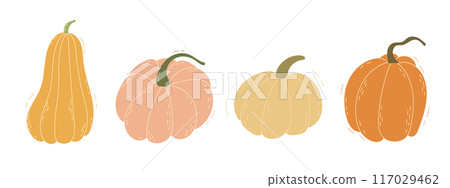 Hand drawn pumpkin set. Autumn, fall, thanksgiving and halloween decoration. Hand drawn pumpkin set. Autumn, fall, thanksgiving and halloween decoration. 117029462