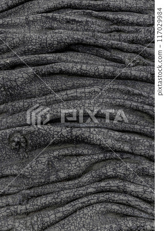 Closeup of pahoehoe lava flow showing cracks and texture 117029984