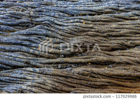 Close-up of solidified lava Close-up of solidified lava 117029986