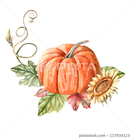 Composition of pumpkin, leaves, sunflower, climbing stem painted in watercolor. Illustration on the theme of autumn, for fairs, packaging, invitations. Illustration isolated from the background. Composition of pumpkin, leaves, sunflower, climbing stem painted in watercolor. Illustration on the theme of autumn, for fairs, packaging, invitations. Illustration isolated from the background. 117030123