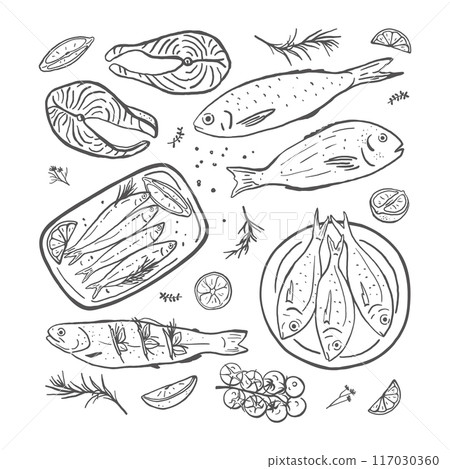 Hand drawn different fish set 117030360