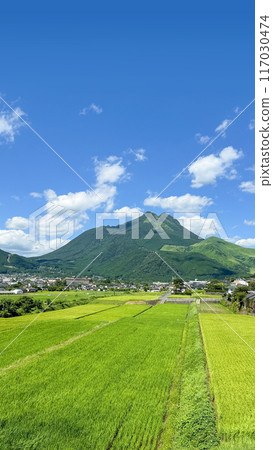 Fresh greenery in the Yufuin Basin, rural scenery Fresh greenery in the Yufuin Basin, rural scenery 117030474