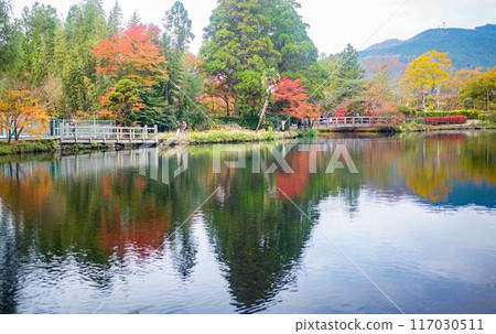 Autumn leaves of Yufuin gold scale lake Autumn leaves of Yufuin gold scale lake 117030511