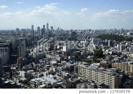東京城市景觀 東京城市景觀 117030579
