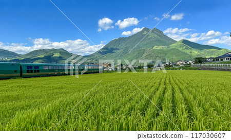 Yufuin - Yufu-no-Mori, running through the countryside with fresh greenery and Mt. Yufu Yufuin - Yufu-no-Mori, running through the countryside with fresh greenery and Mt. Yufu 117030607