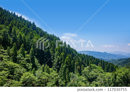 Fresh green mountains and blue sky Fresh green mountains and blue sky 117030755