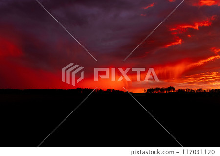 Red and purple sunset and raining cloud over the field with trees. Red and purple sunset and raining cloud over the field with trees. 117031120