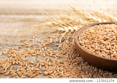 Wheat in a plate on a wooden table and dry yellow ears. 117031274