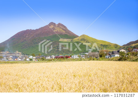 Yufuin and the red train during autumn harvest season 117031287