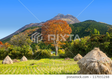 秋天湯布院 117031288