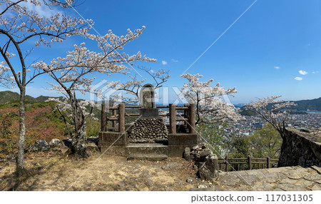 Saiki Castle Ruins Doppo Monument and Cherry Blossoms 117031305