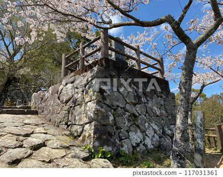 Saeki Castle ruins and cherry blossoms on Shiroyama Saeki Castle ruins and cherry blossoms on Shiroyama 117031361