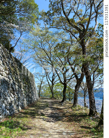 Saeki Castle Saeki Castle 117031391