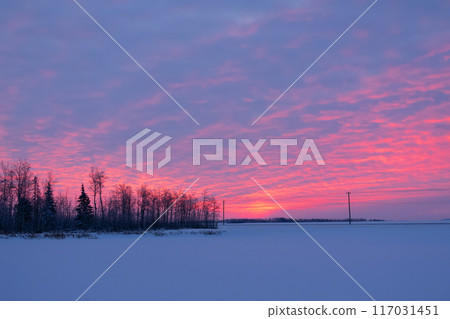 Pink and blue sunrise in the countryside, power poles along the highway. 117031451