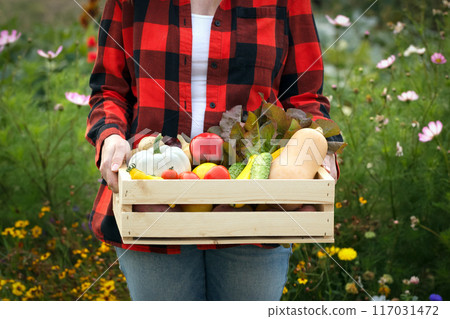 Female gardener with a crate with assorted vegetables in the blooming garden. Female gardener with a crate with assorted vegetables in the blooming garden. 117031472