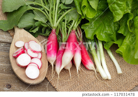 Fresh ripe vegetables on the wooden table with burlap table cloth - radish sliced on a big spoon and whole ones, green onion, lettuce are ready to cook salad. 117031478
