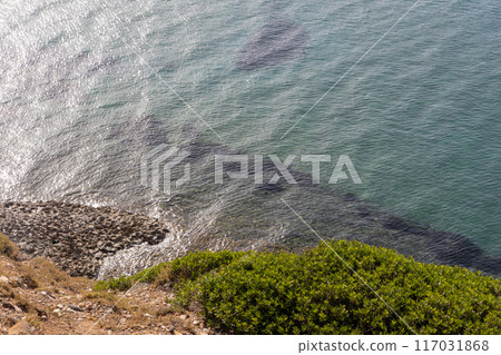 Rocky Shore with Clear Water 117031868
